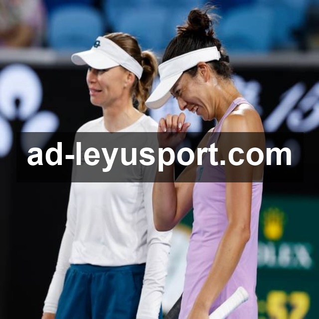 比分赛后说明查询